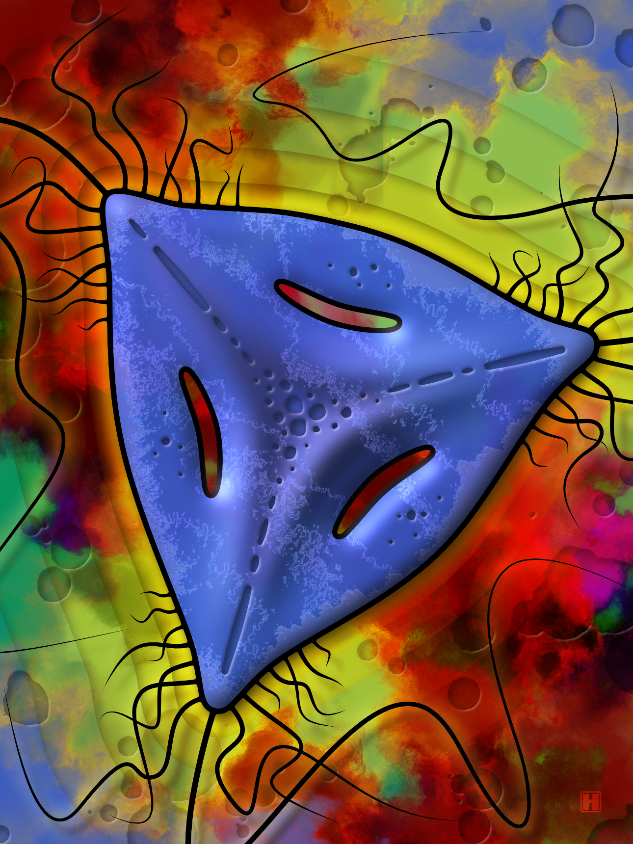 Caribbean Tricorne