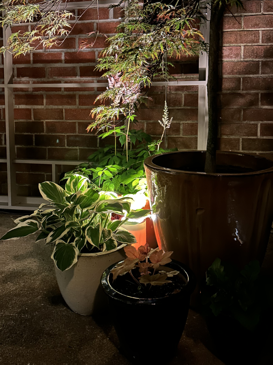 Outdoor Uplight